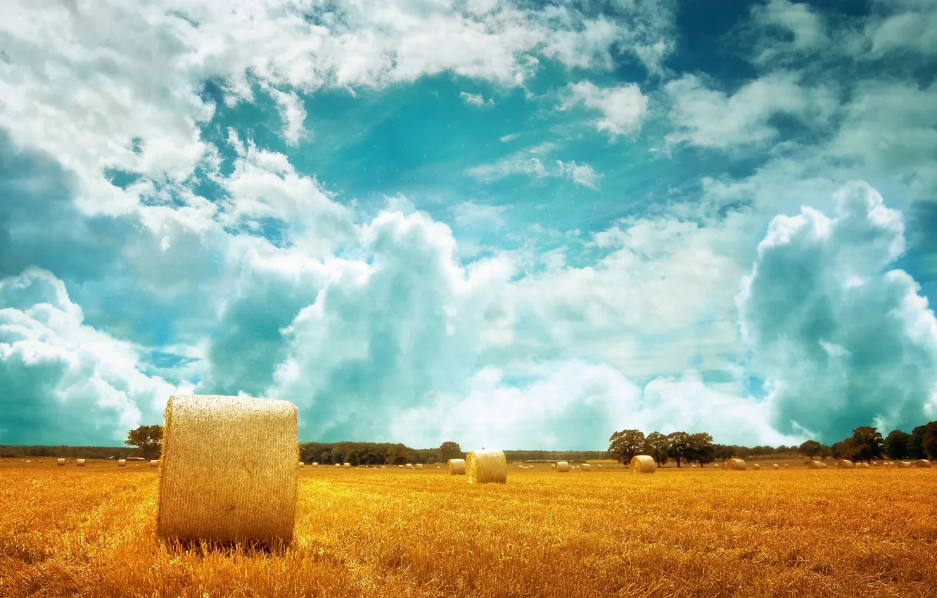 Фото обои пшеница, поле, небо, облака, природа, стог, горизонт, сено