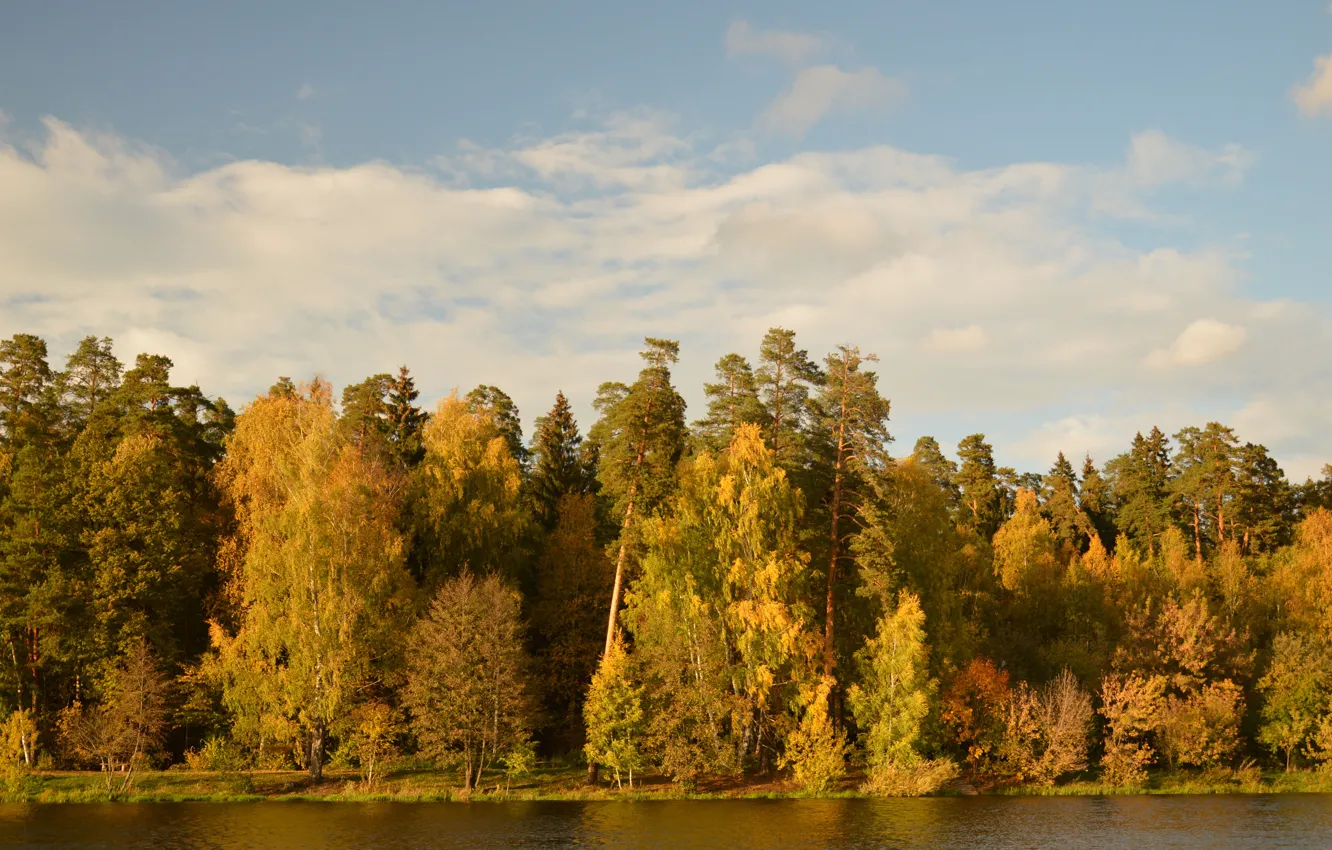 Фото обои Осень, Озеро, Деревья, Лес, Пейзаж, Fall, Autumn, Colors
