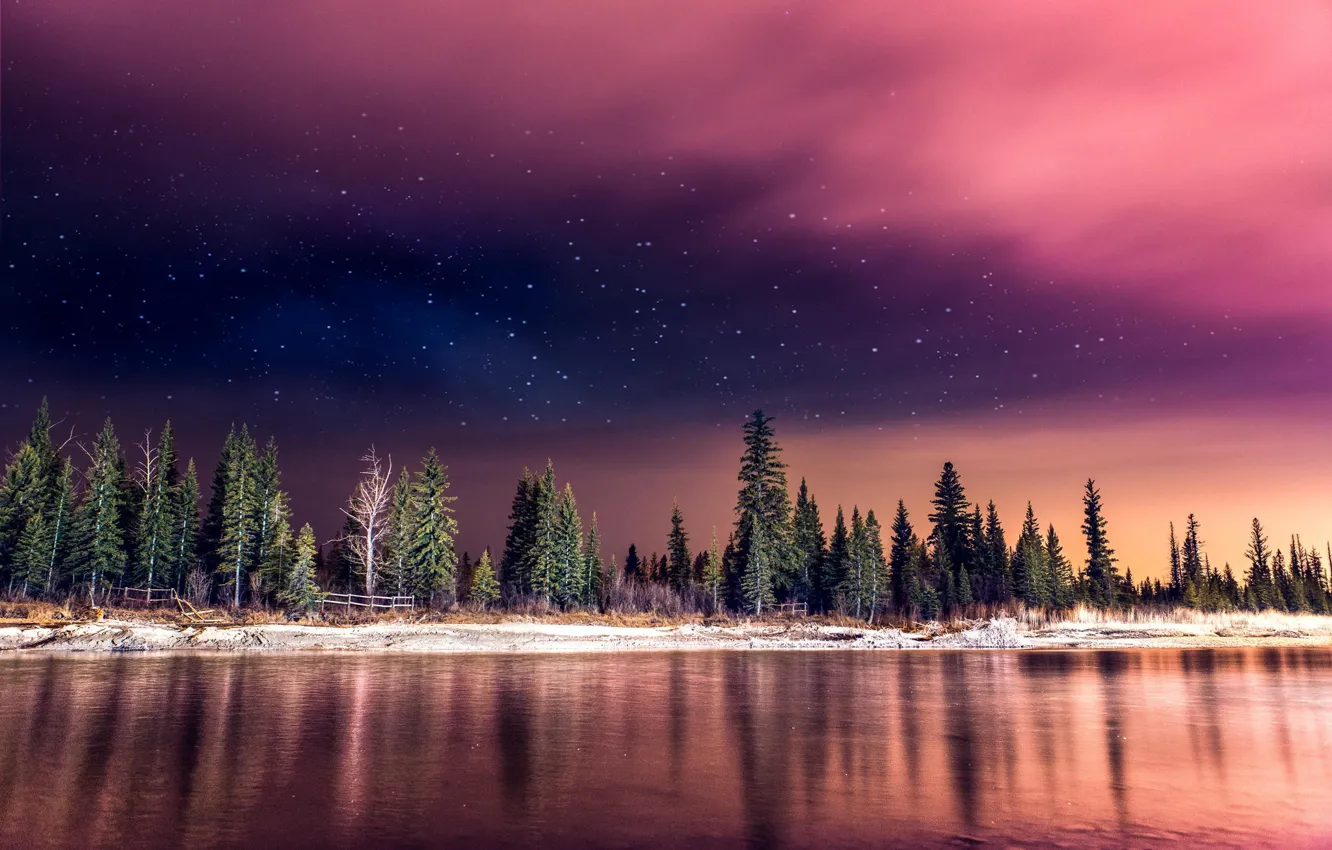 Фото обои лес, небо, звезды, свет, ночь, природа, река