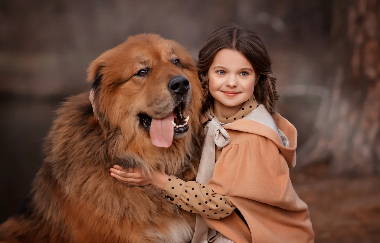 Фото обои портрет, собака, девочка, друзья, пёс, тибетский мастиф, Валентина Ермилова
