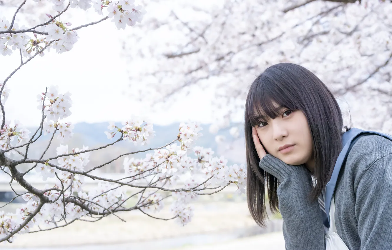 Фото обои sakura, women, asian