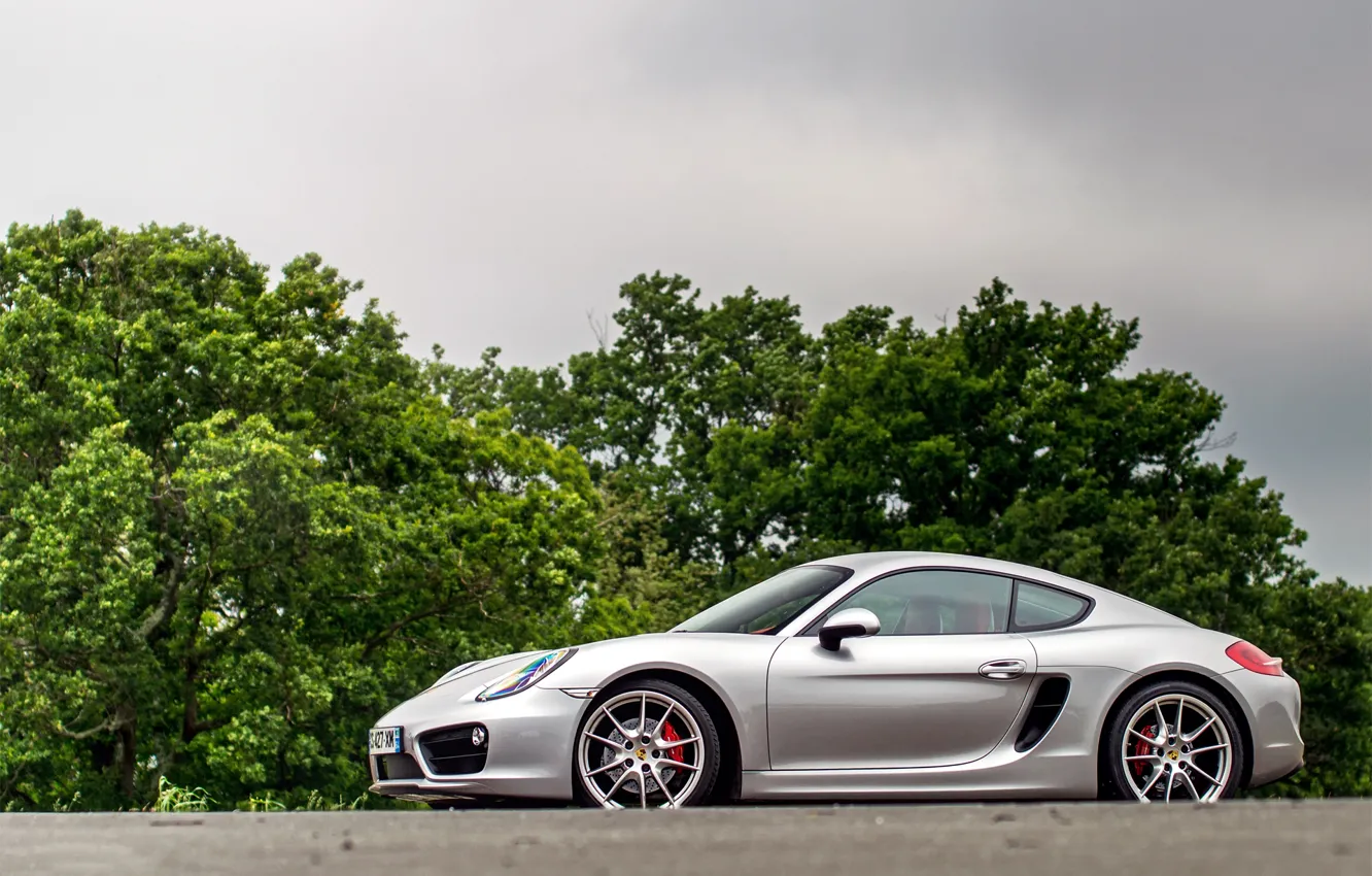 Фото обои Porsche, Cayman, silver, trees