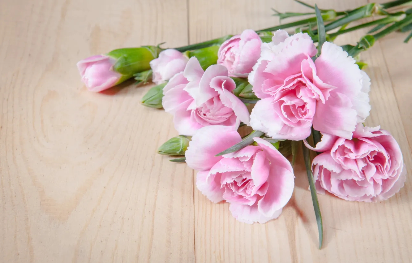 Фото обои цветы, букет, лепестки, розовые, wood, pink, flowers, beautiful