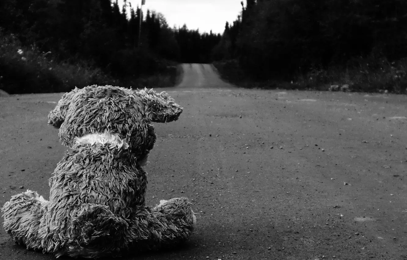 Фото обои дорога, асфальт, обои, чёрно-белое, медведь, плюшевый, картинка, разное