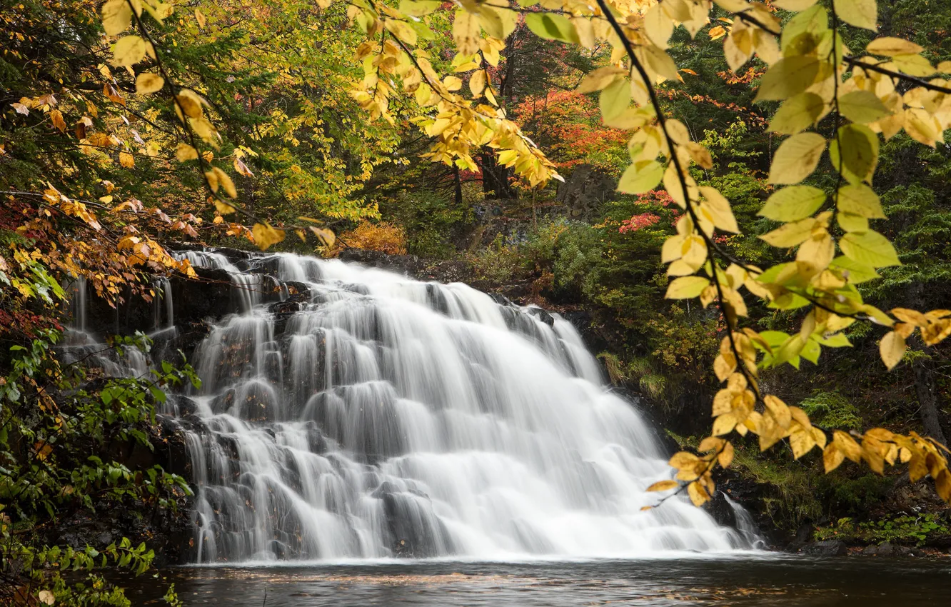 Фото обои осень, лес, ветки, водопад, Канада, Canada, каскад, Nova Scotia
