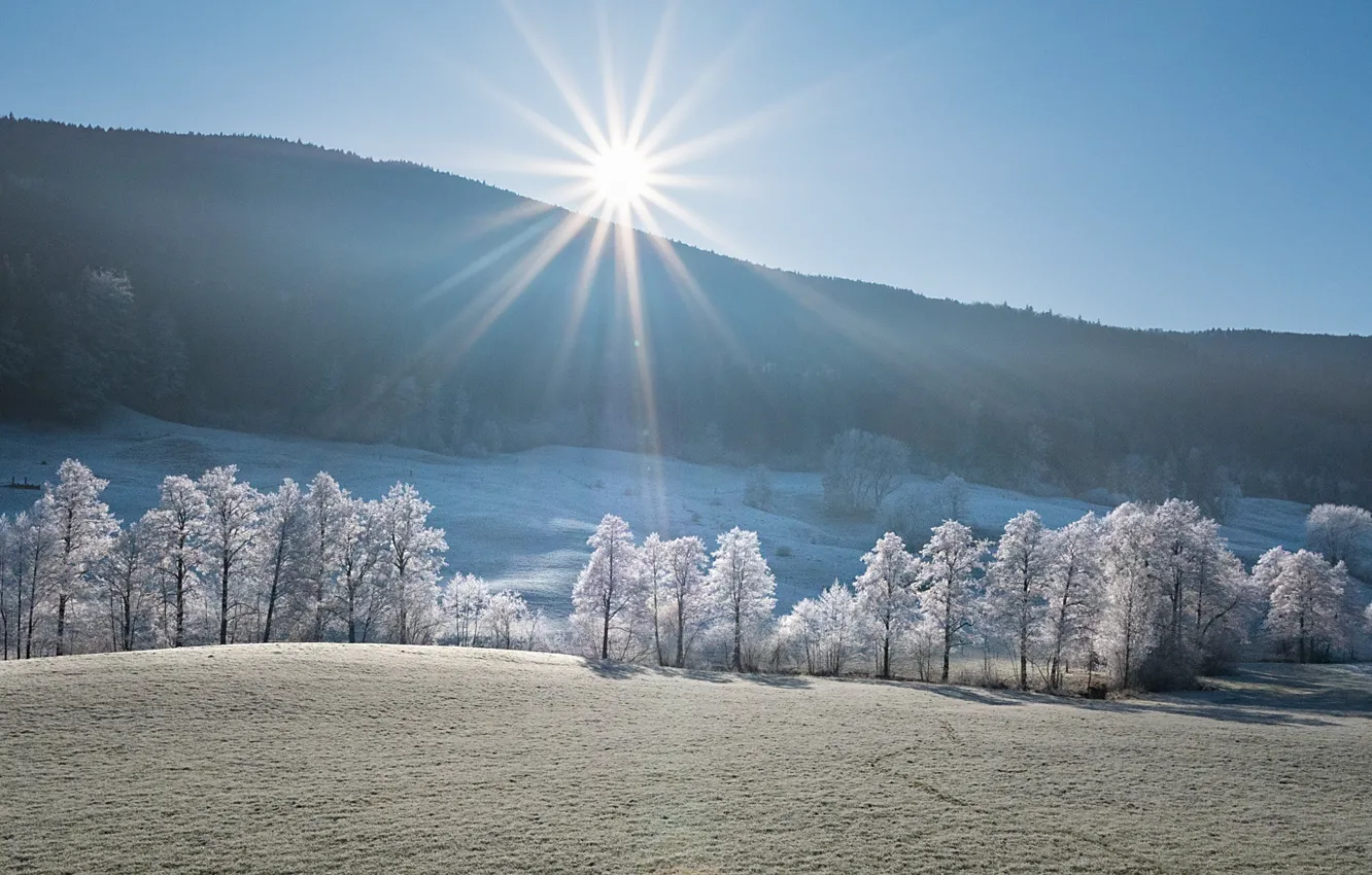Фото обои зима, иней, поле, лес, солнце, лучи, свет, снег
