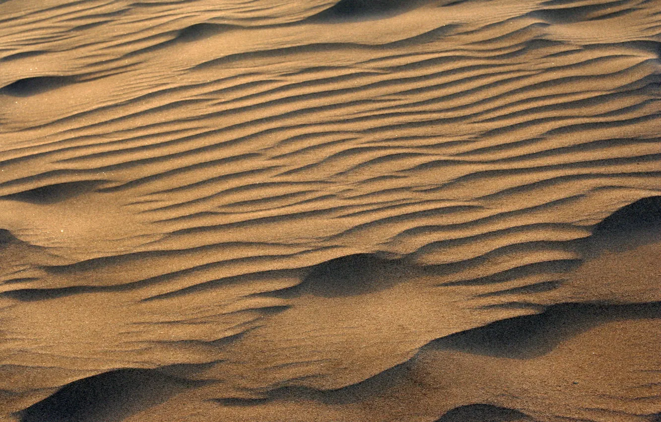 Фото обои dust, sand, heat, warm, Desert