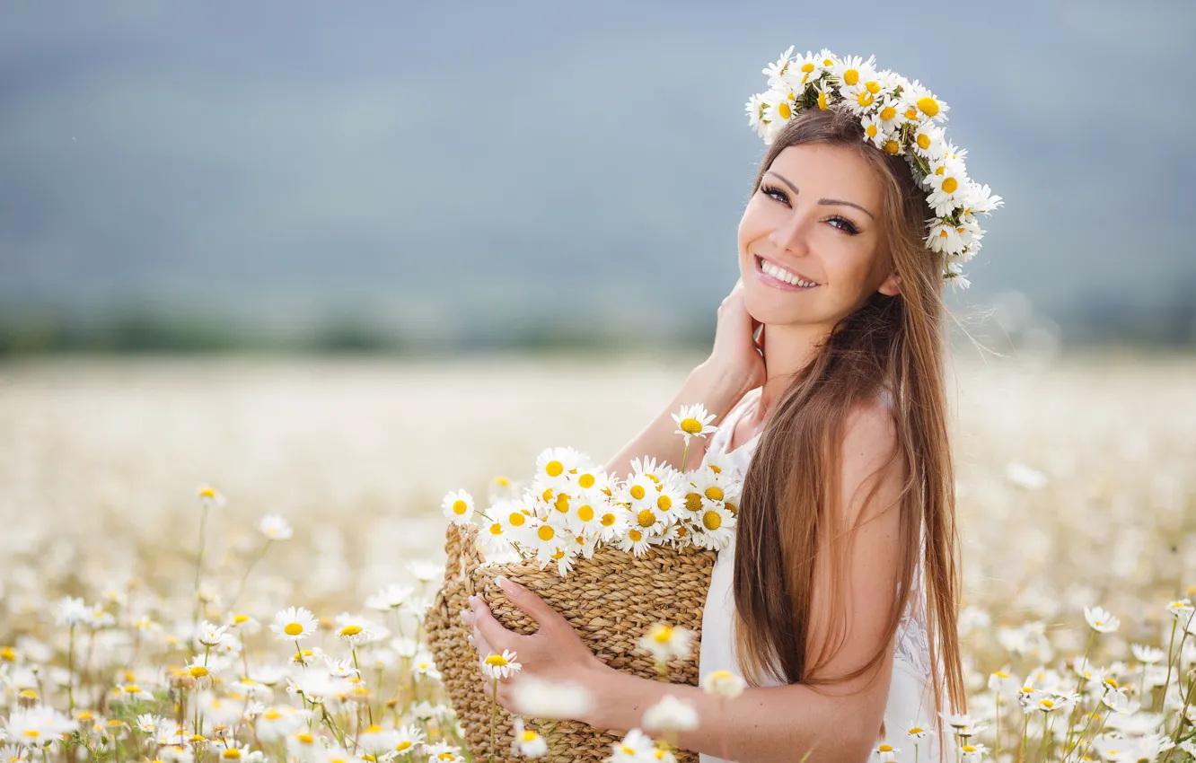 Фото обои поле, девушка, цветы, корзина, ромашки, girl, шатенка, brown hair