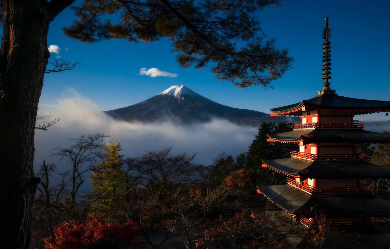 Фото обои деревья, Япония, пагода, Mount Fuji, Хонсю