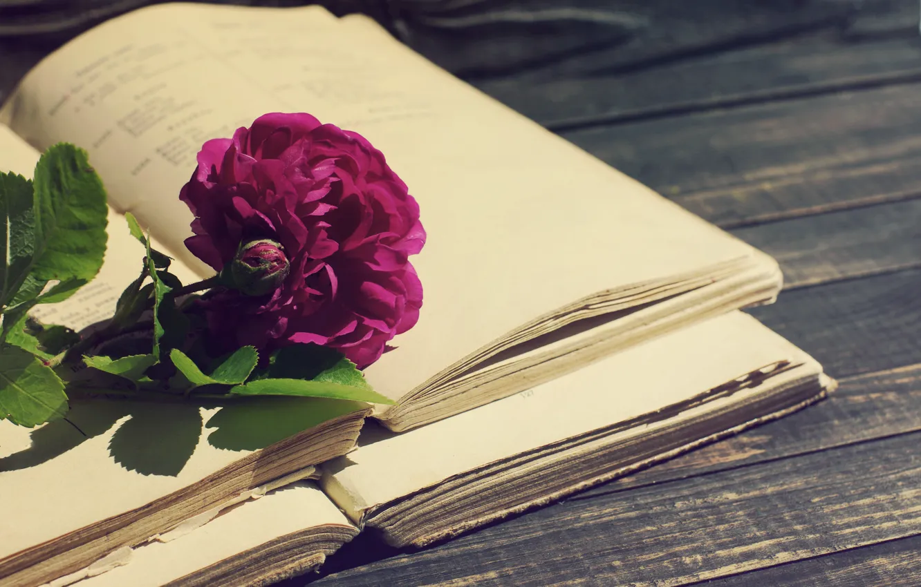Фото обои роза, vintage, wood, flowers, beautiful, purple, book