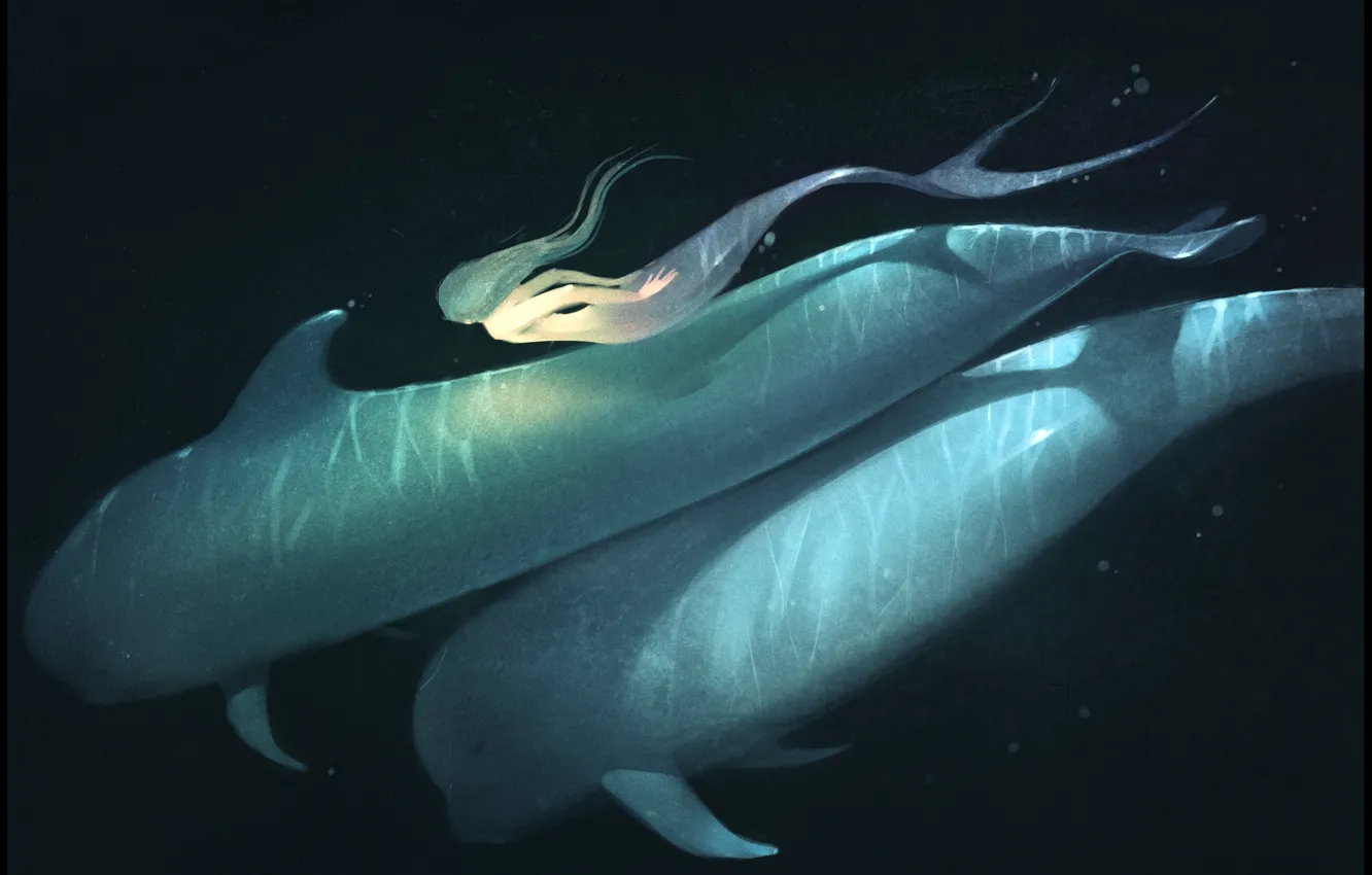 Фото обои дельфин, русалка, art, dolphin