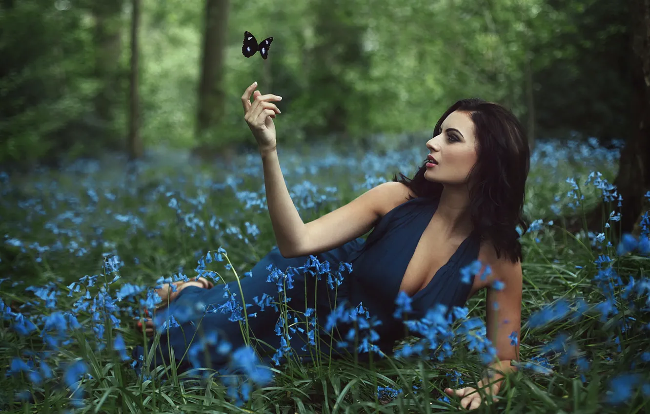 Фото обои лес, девушка, цветы, бабочка
