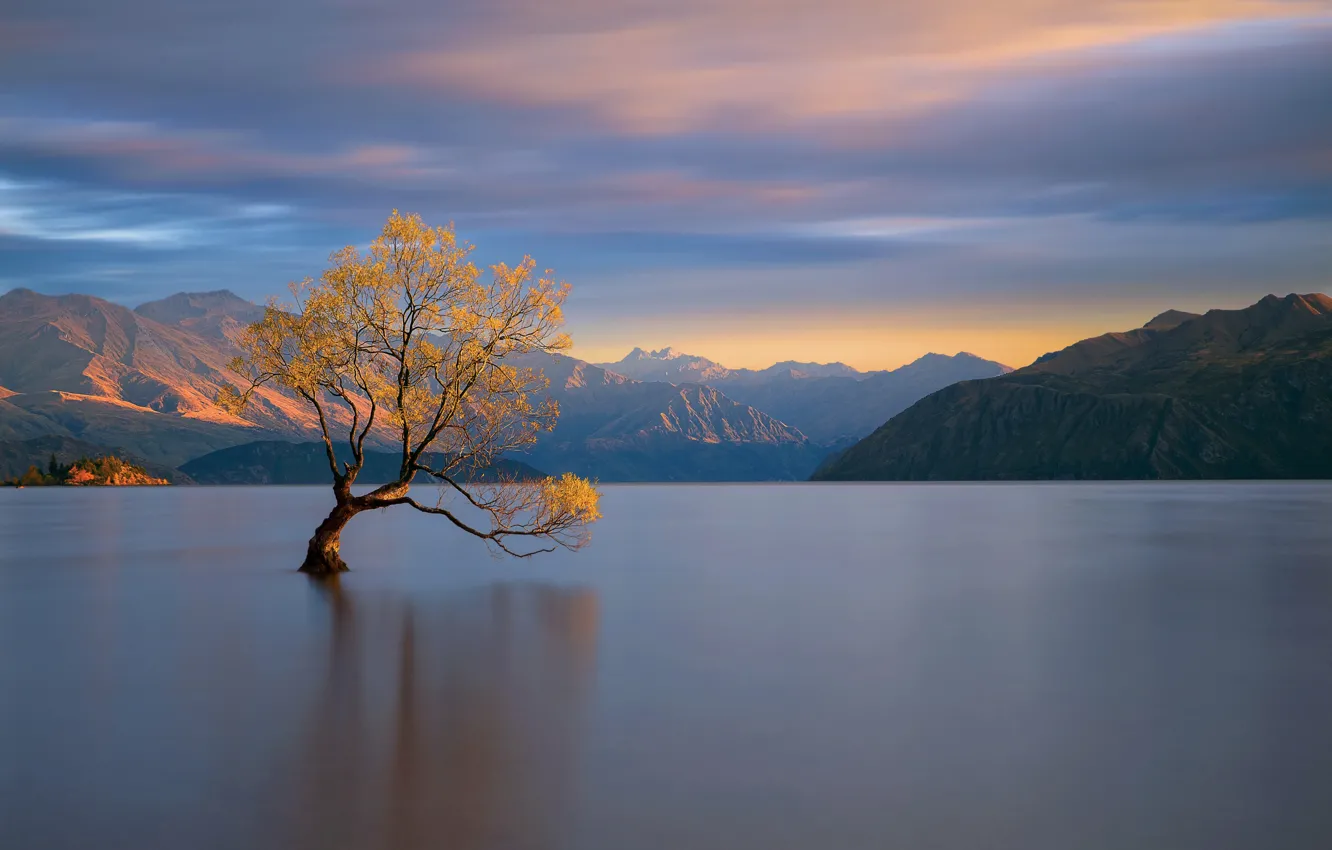 Фото обои свет, горы, озеро, дерево, Новая Зеландия