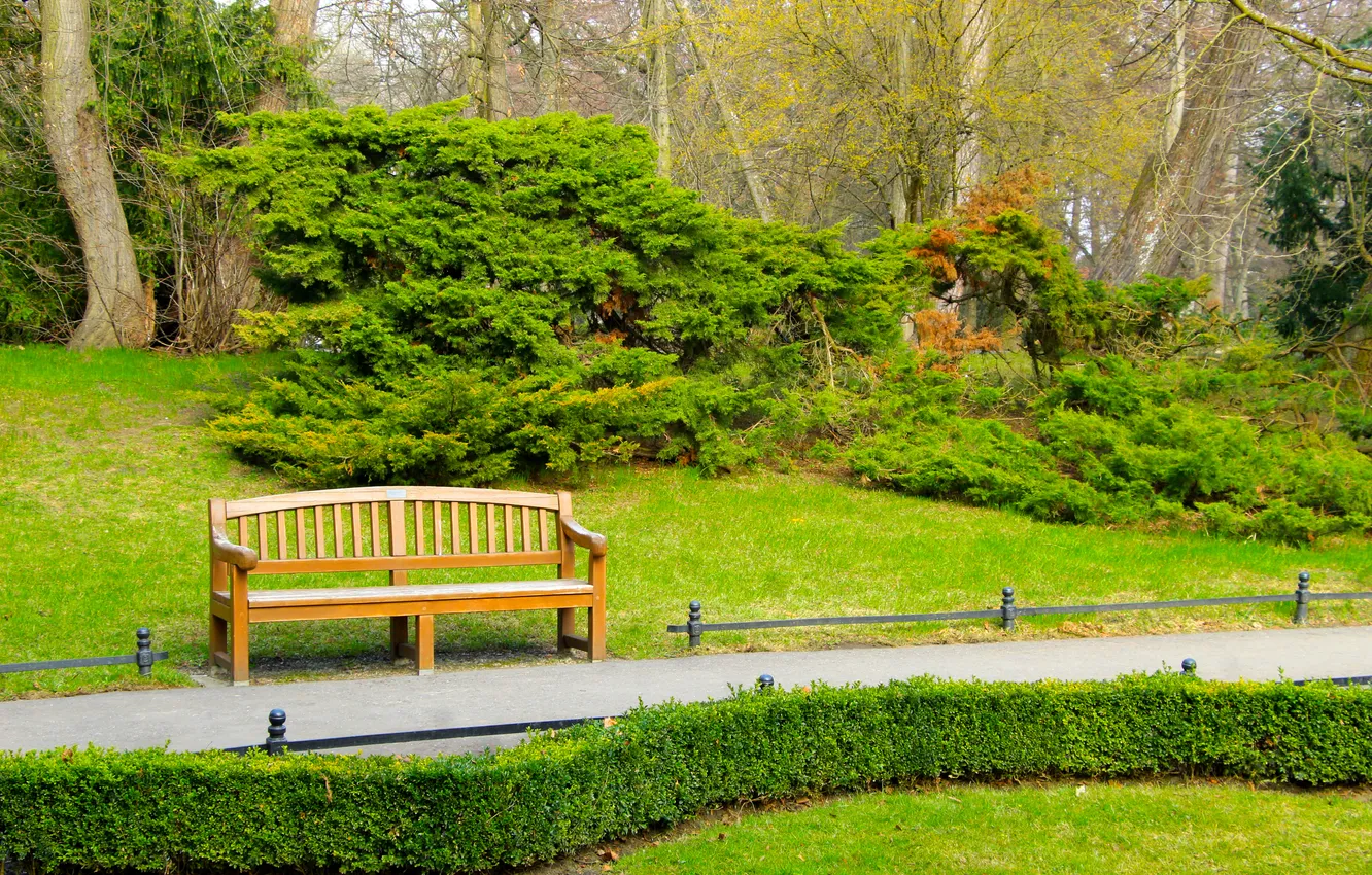 Фото обои green, park, bench