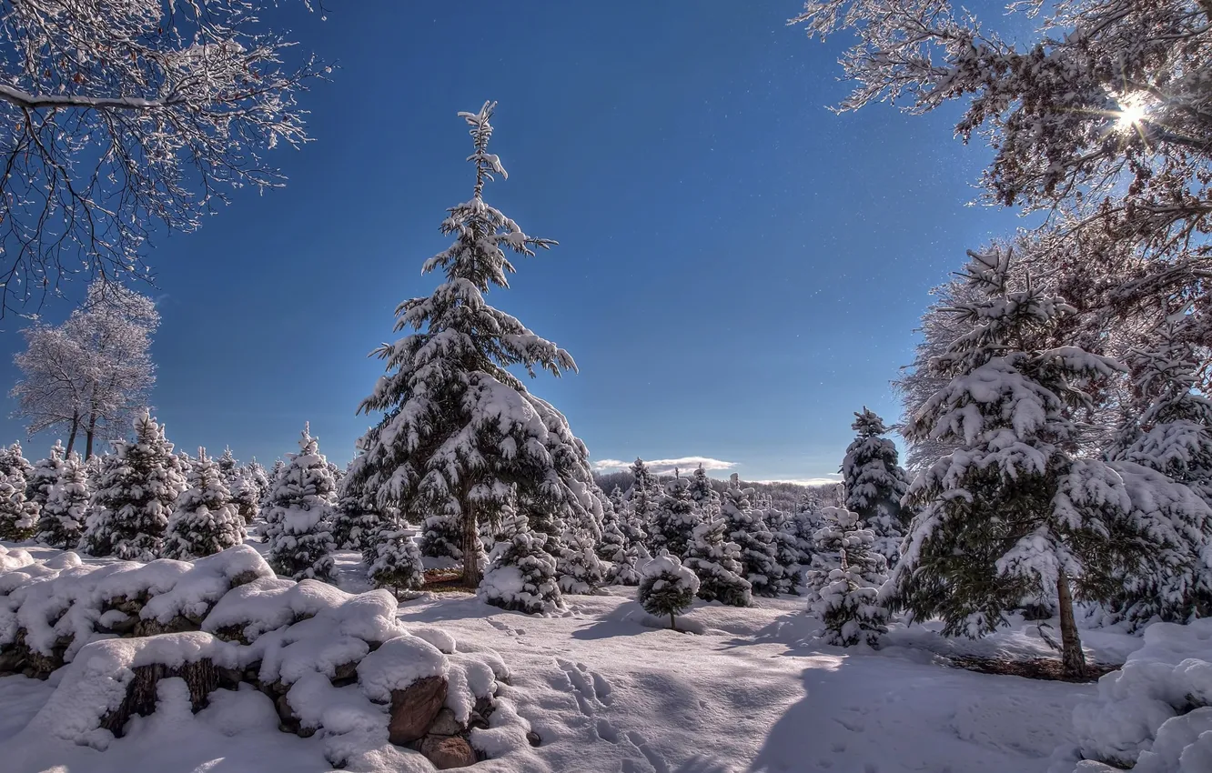 Фото обои зима, пейзаж, природа, красота