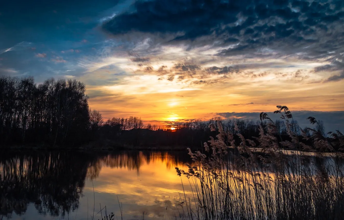 Фото обои деревья, закат, природа, река, растения, вечер, берега