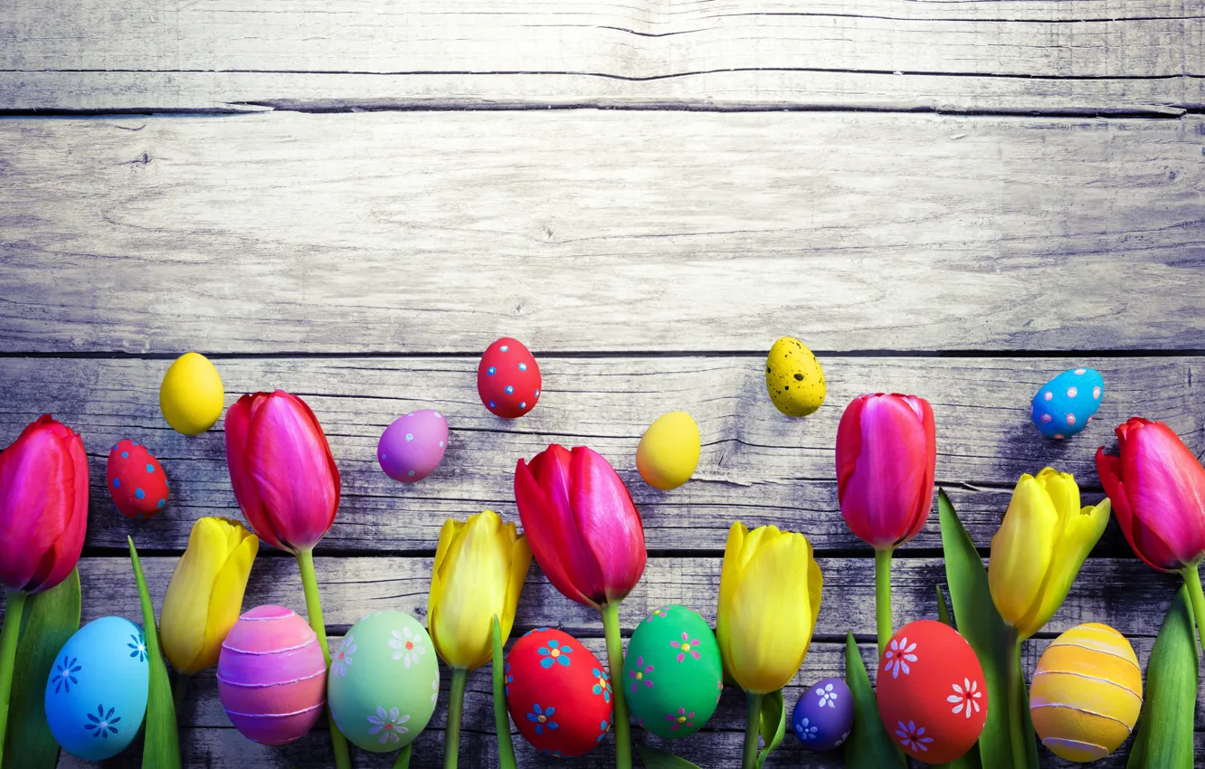 Фото обои colorful, Пасха, тюльпаны, happy, wood, flowers, tulips, spring