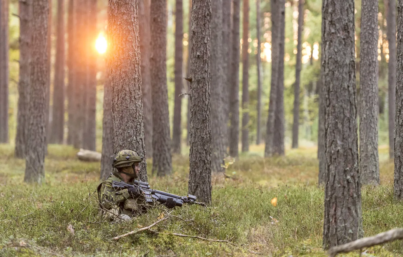 Фото обои лес, оружие, солдат