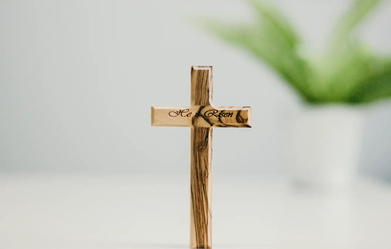 Фото обои Love, Wood, Christian, God, Cross, Jesus, Eastern, Angelica Reyes