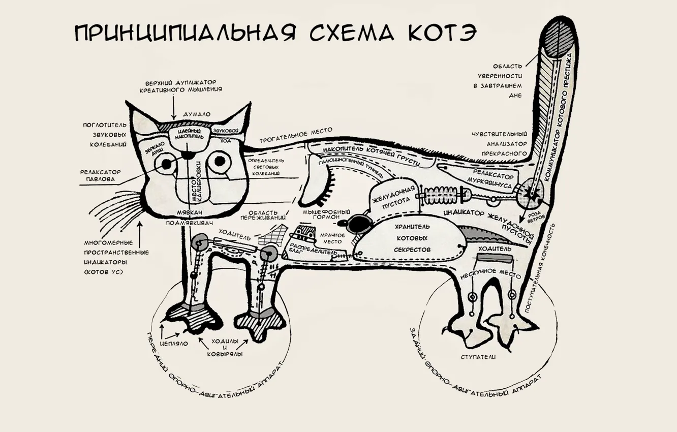 Фото обои кот, настроение, юмор, схема, котэ