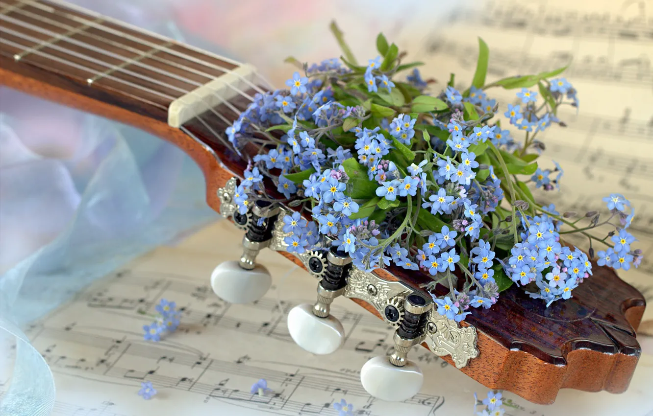Фото обои цветы, ноты, музыка, гитара, букет, струны, голубые, букетик