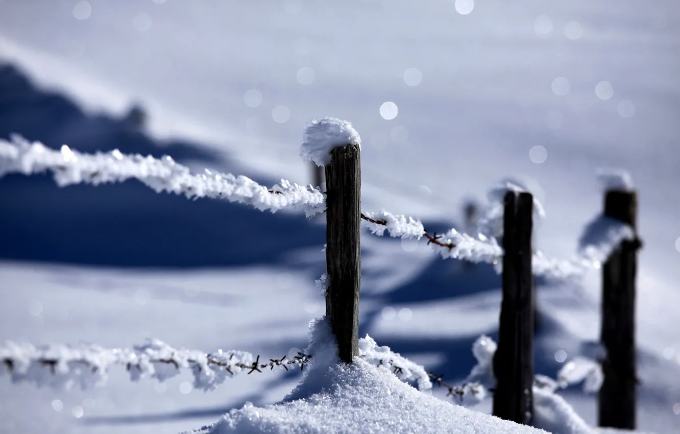 Фото обои зима, снег, природа, забор, nature, winter, snow, fence