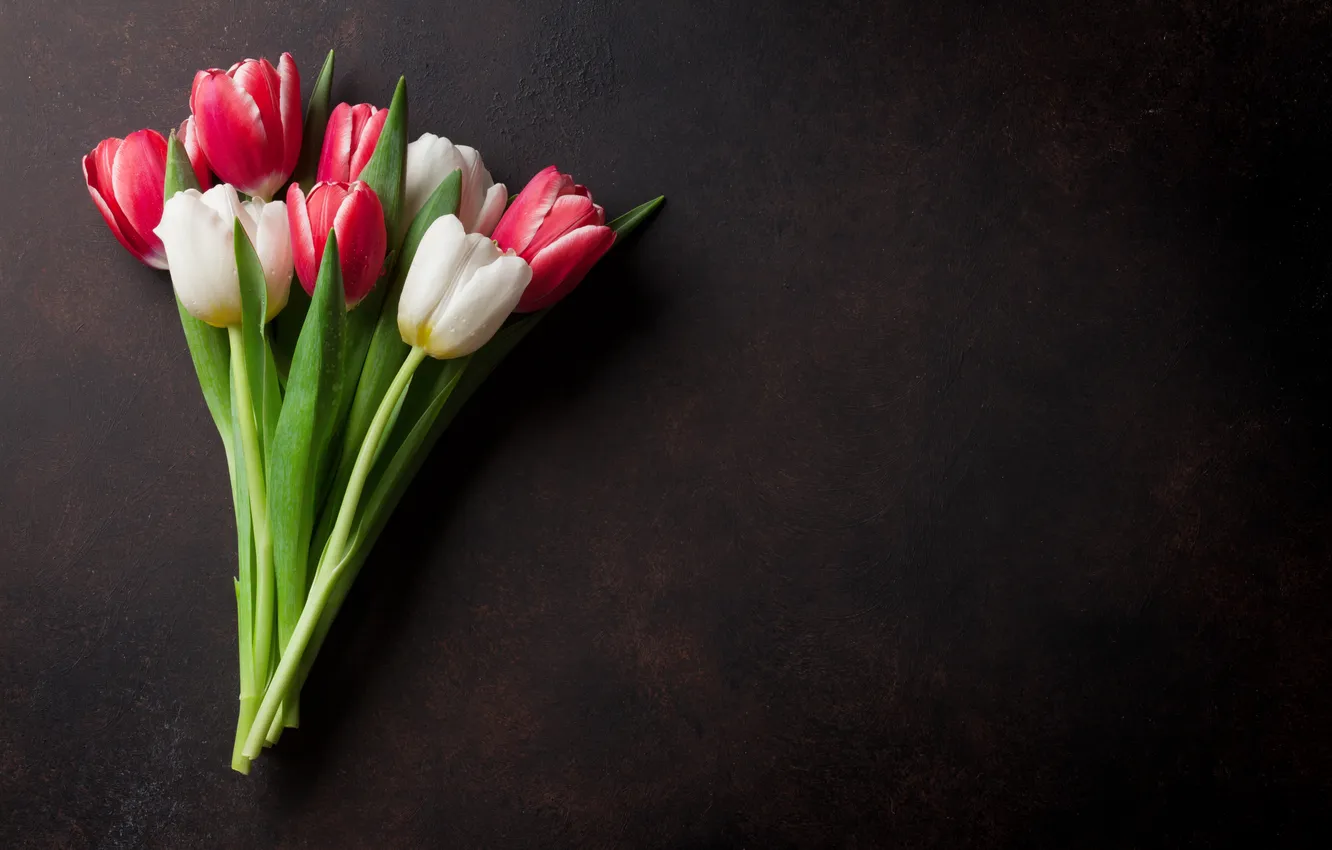 Фото обои цветы, букет, тюльпаны, red, white, flowers, tulips, spring