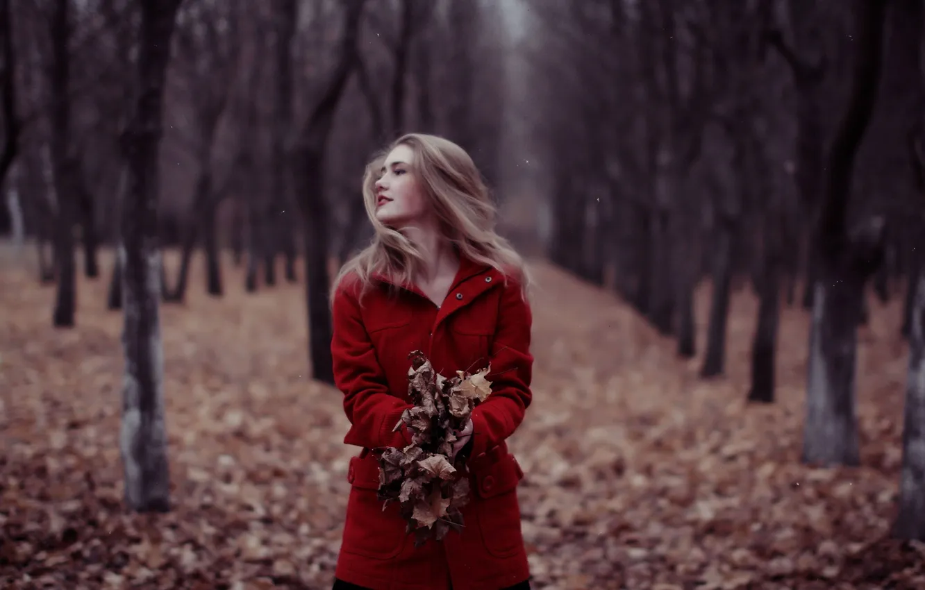 Фото обои осень, лес, девушка, настроение