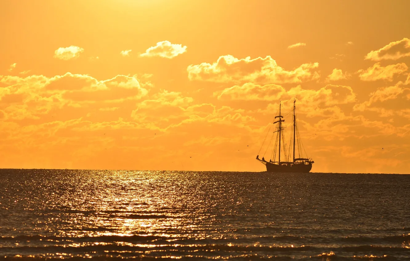 Фото обои summer, sea, ocean, seascape, ship, horizon, sunny, sailing