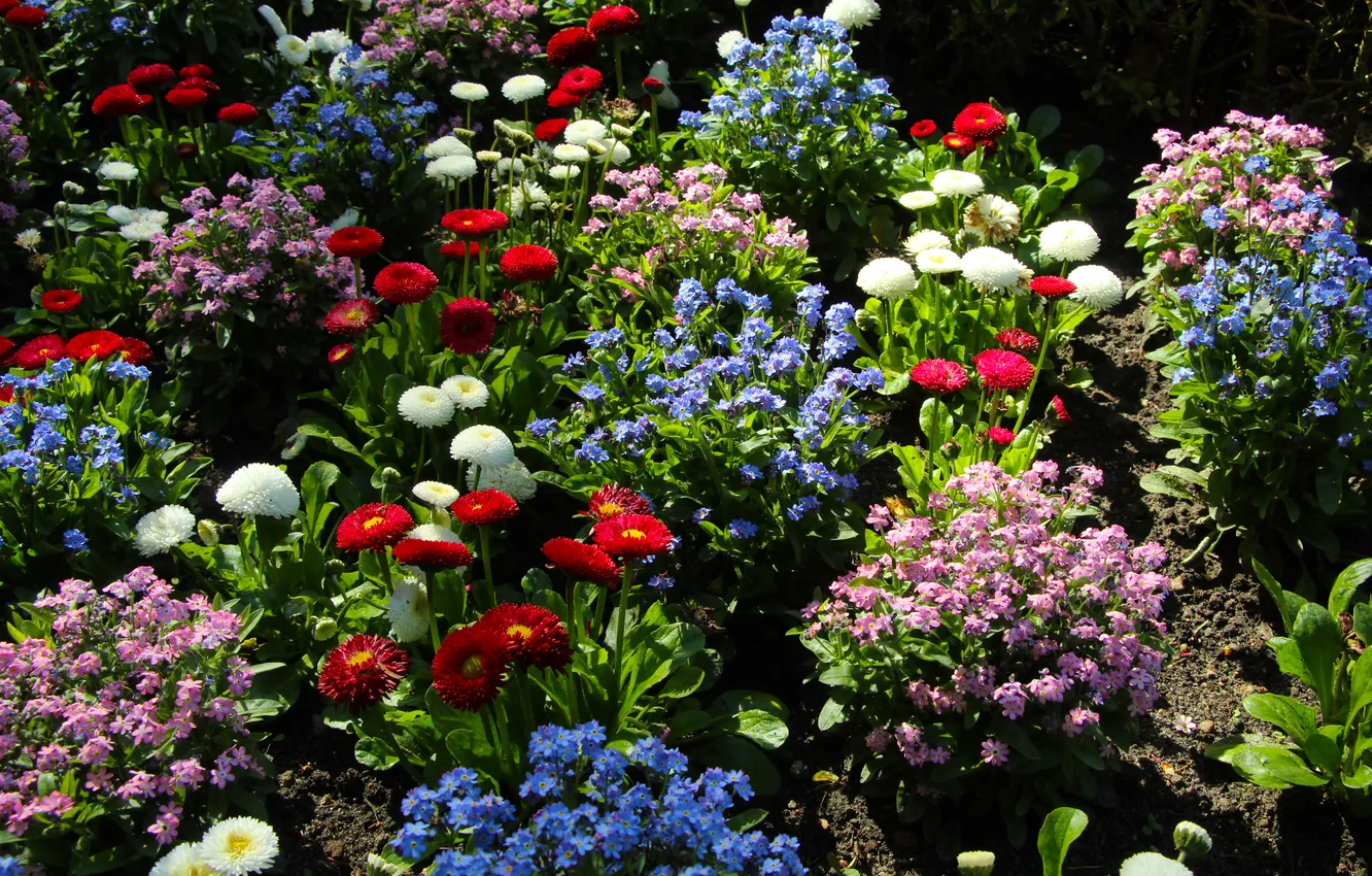 Фото обои spring, blooming, gatden