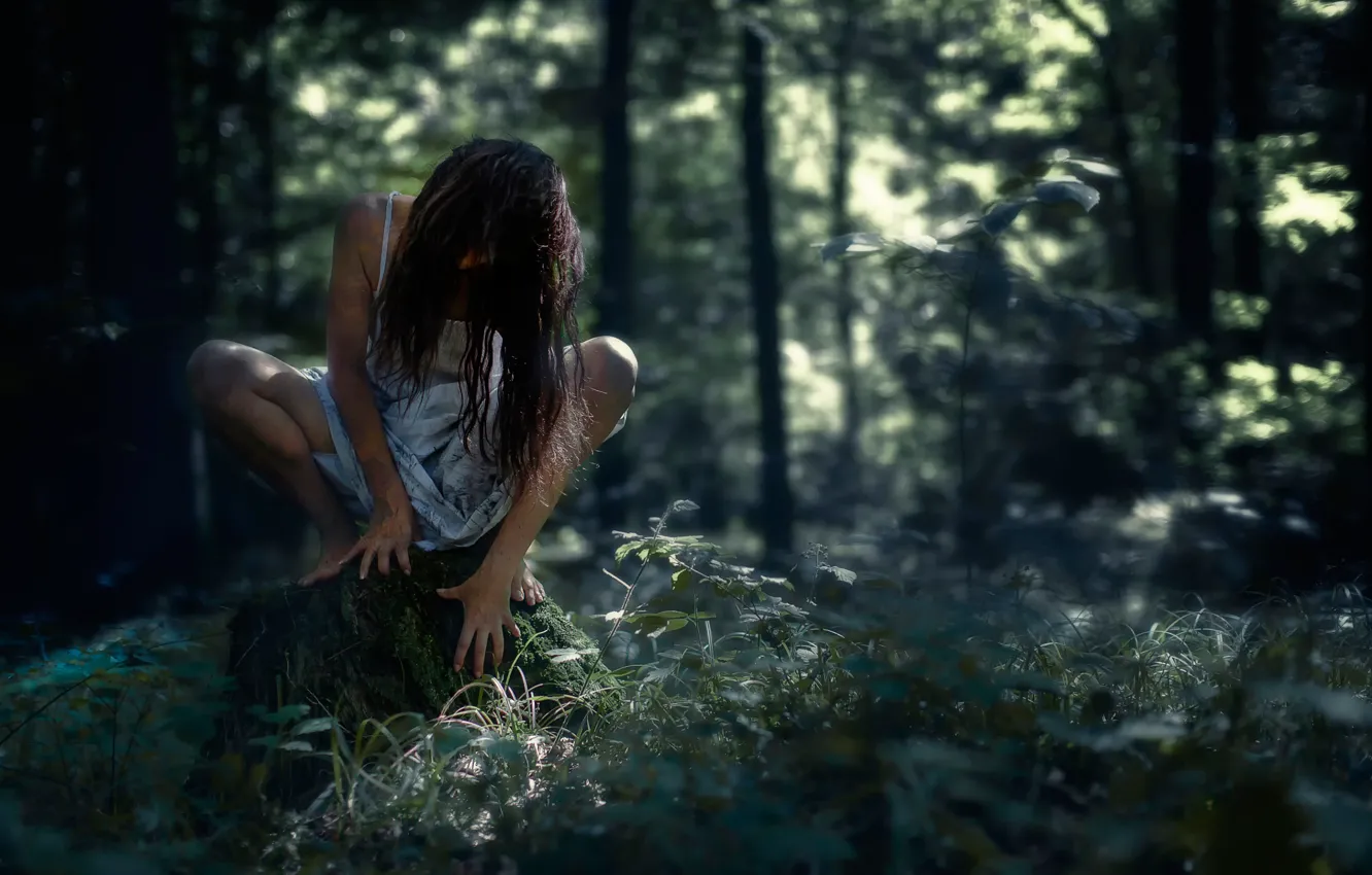 Фото обои лес, девушка, пень, horror, halloween, лесная, темная, жуткая