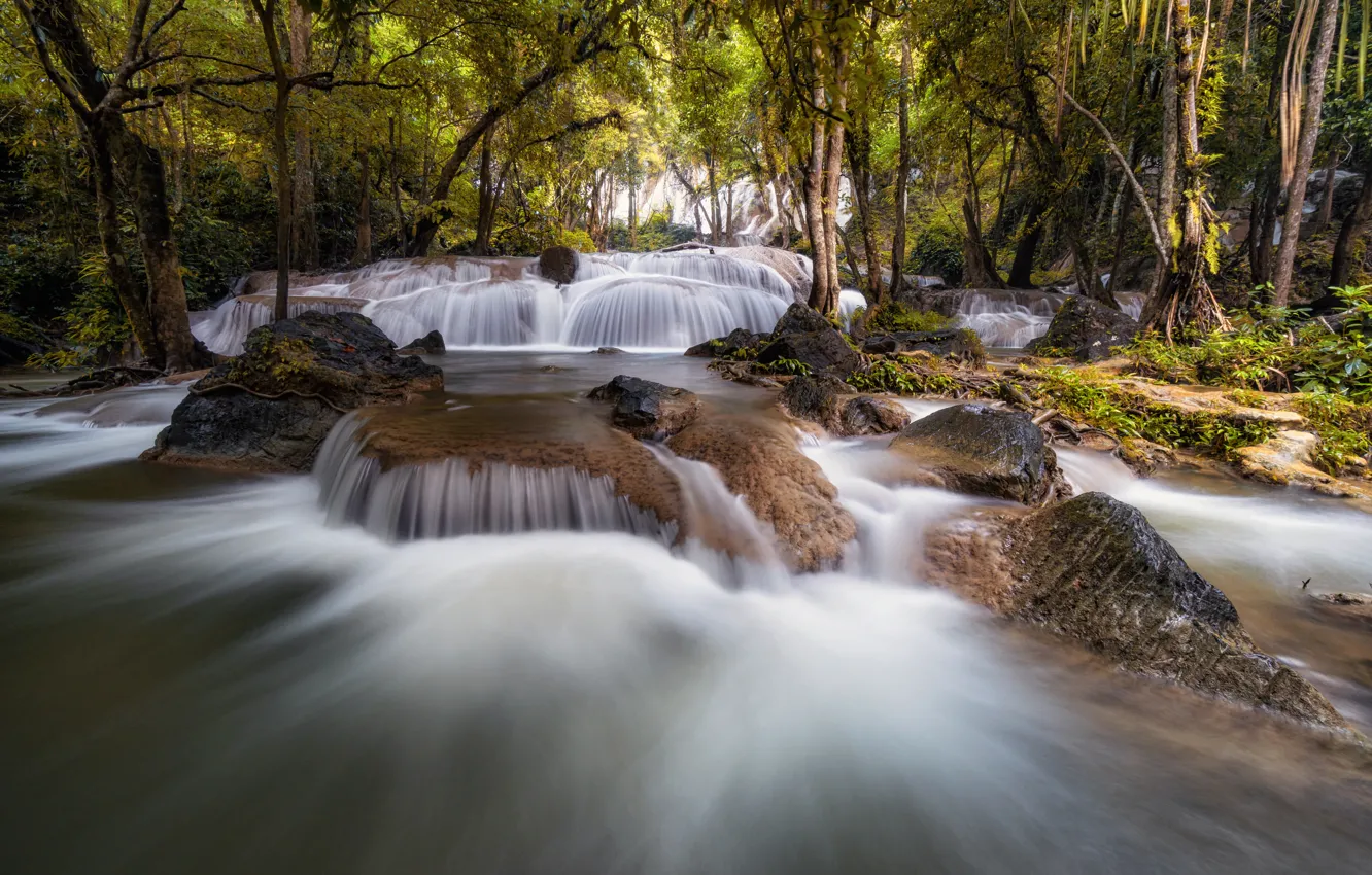 Фото обои лес, пейзаж, река, скалы, водопад, summer, forest, тропический