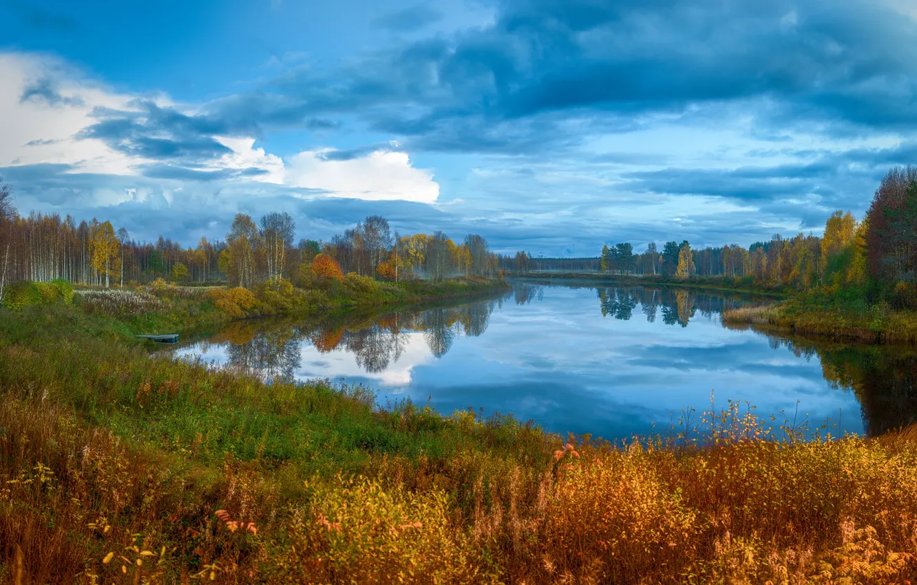 Фото обои осень, трава, вода, облака, деревья, пейзаж, природа, отражение