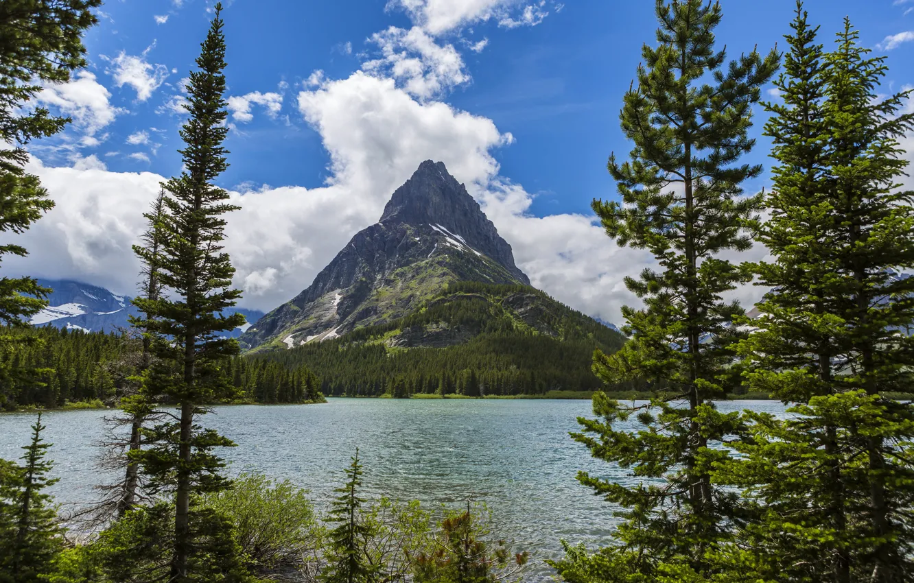 Фото обои лес, деревья, горы, озеро, берег, США, Glacier National Park, Montana