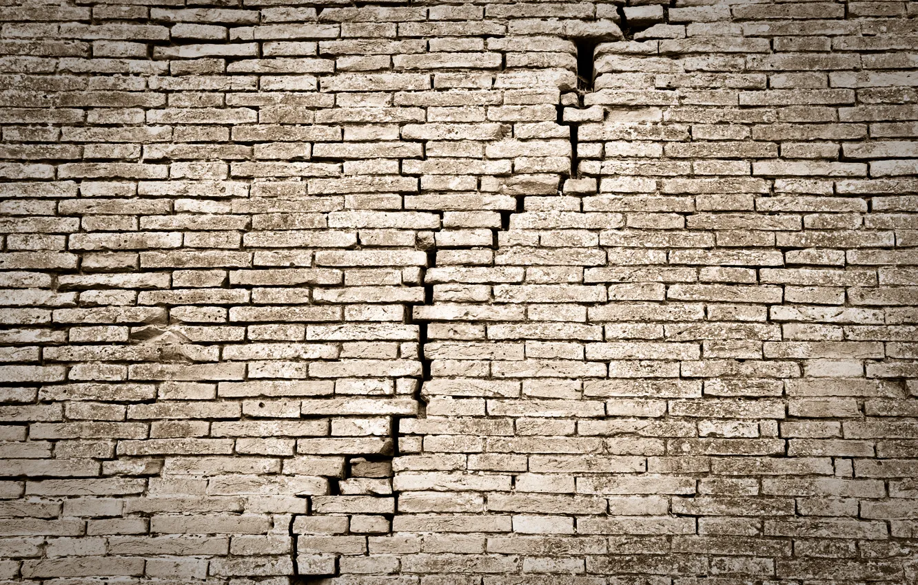 Фото обои wall, bricks, ruins, lack of maintenance