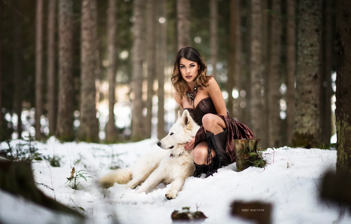 Фото обои зима, лес, девушка, снег, волк, собака, платье