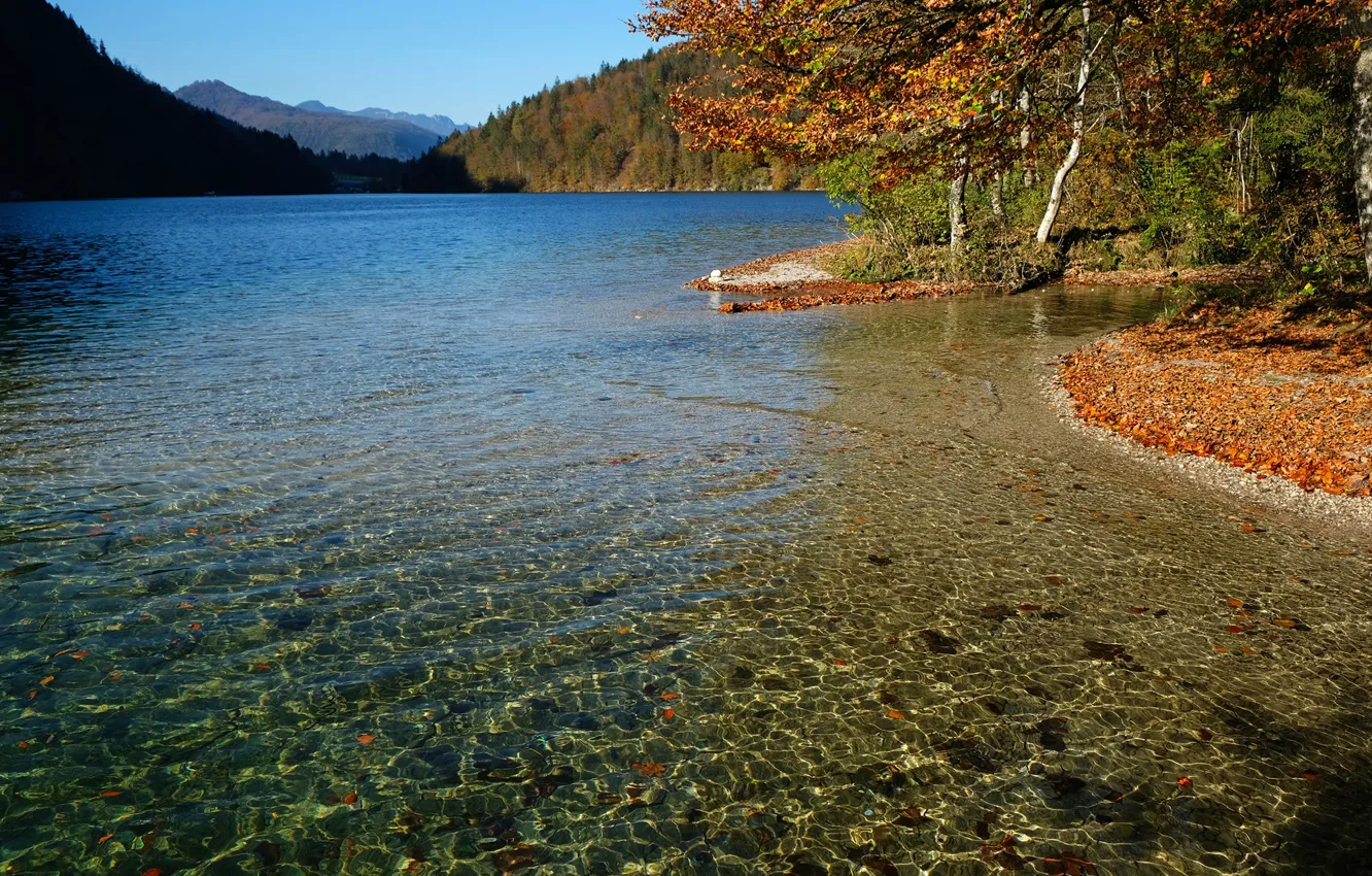 Фото обои осень, лес, небо, солнце, деревья, горы, озеро, Германия