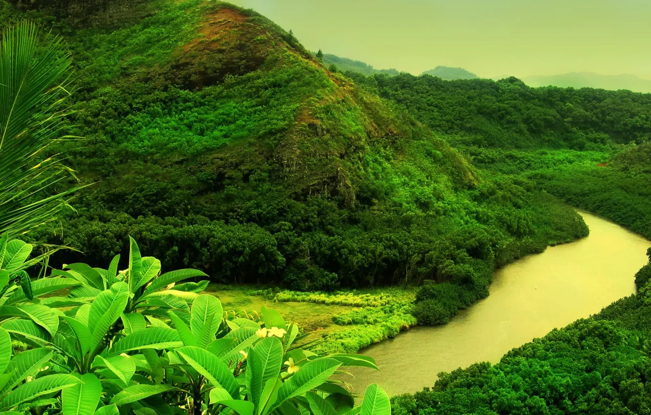 Фото обои зелень, река, гора