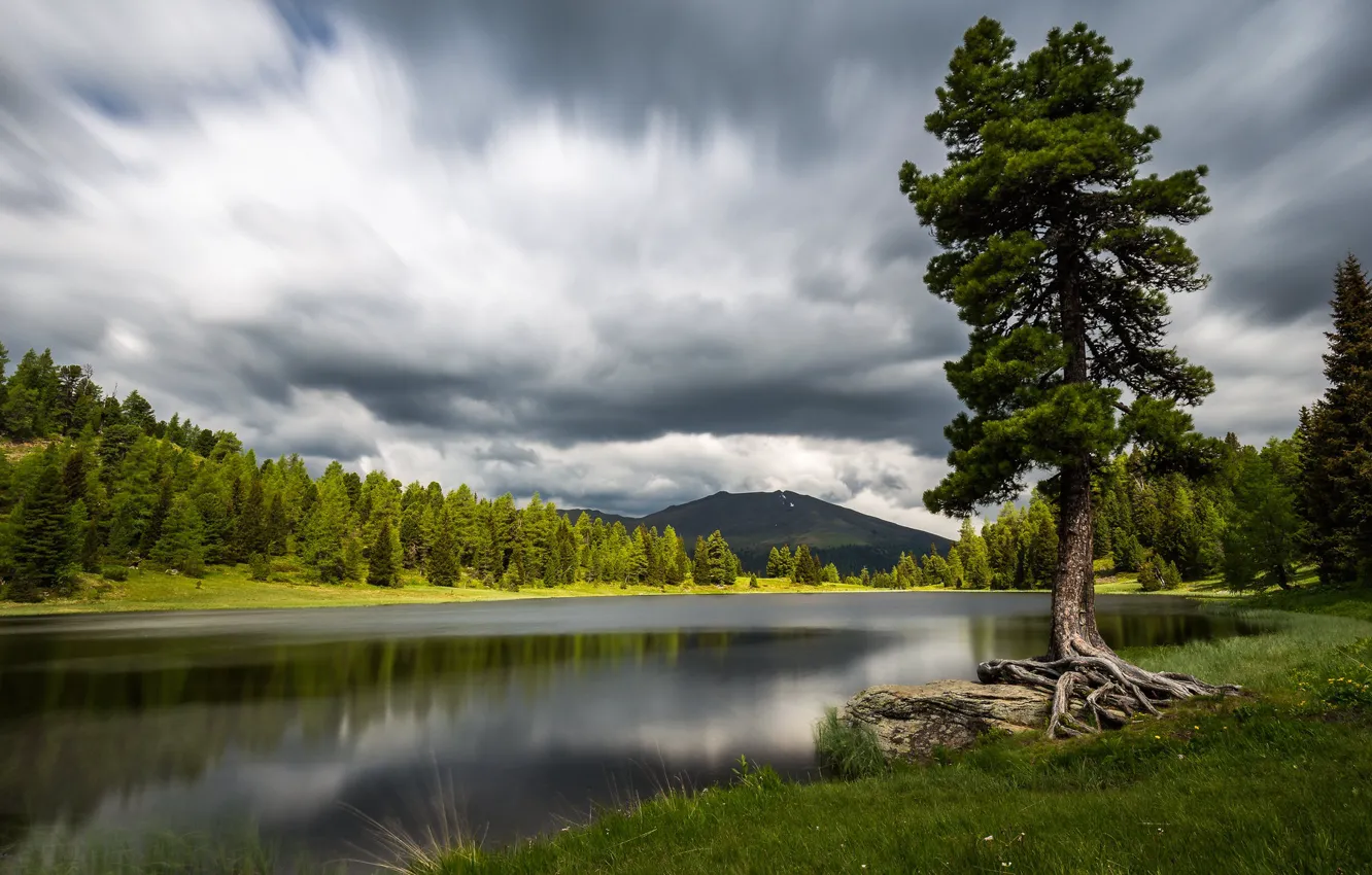 Фото обои лес, деревья, горы, берег, водоем, сосна