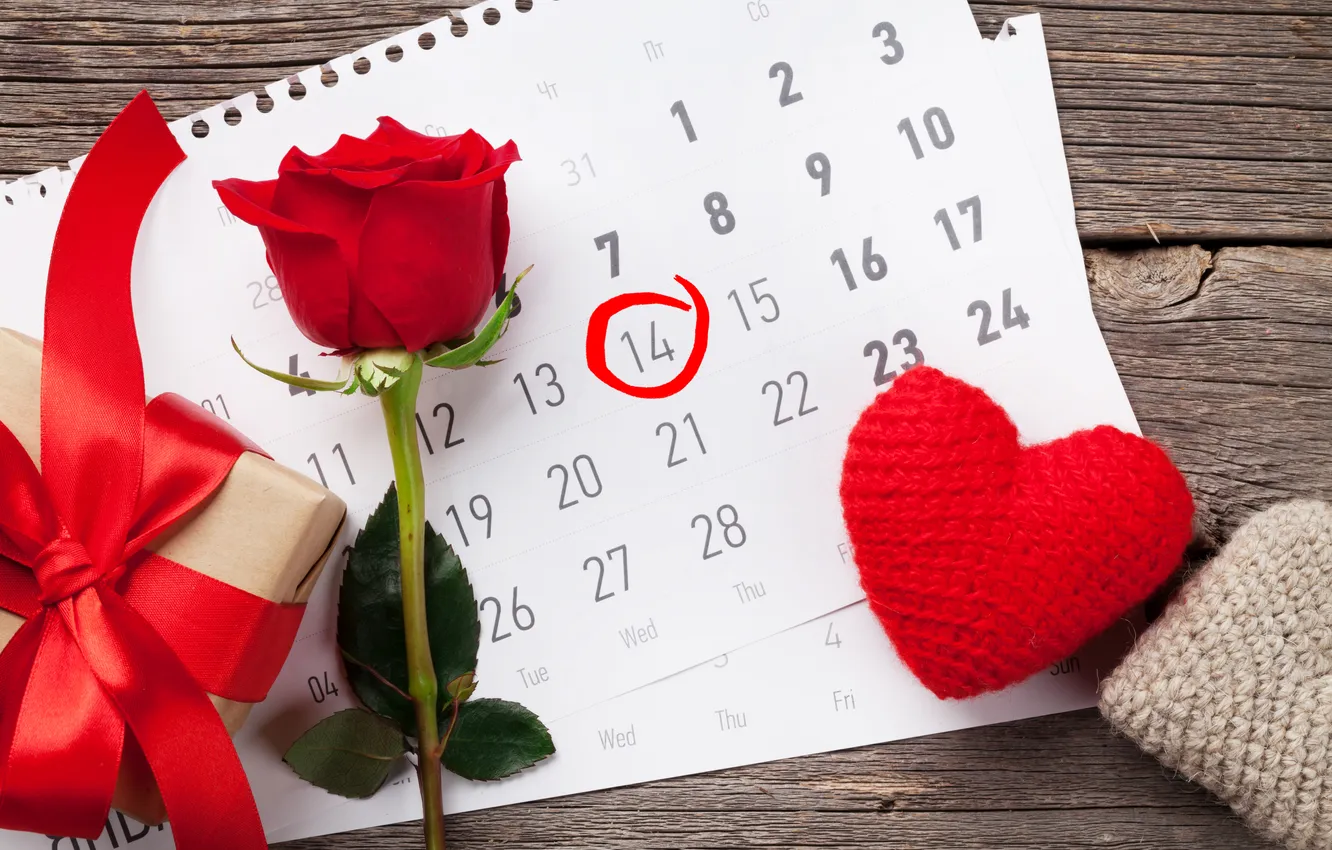 Фото обои любовь, цветы, подарок, романтика, розы, love, happy, День святого Валентина