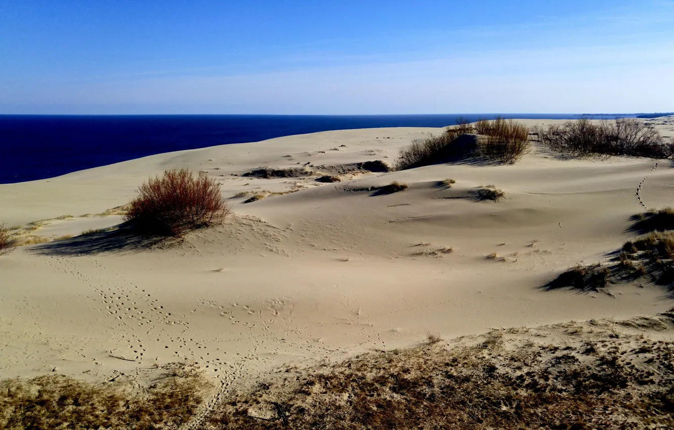 Фото обои песок, море, калининград, куршская коса