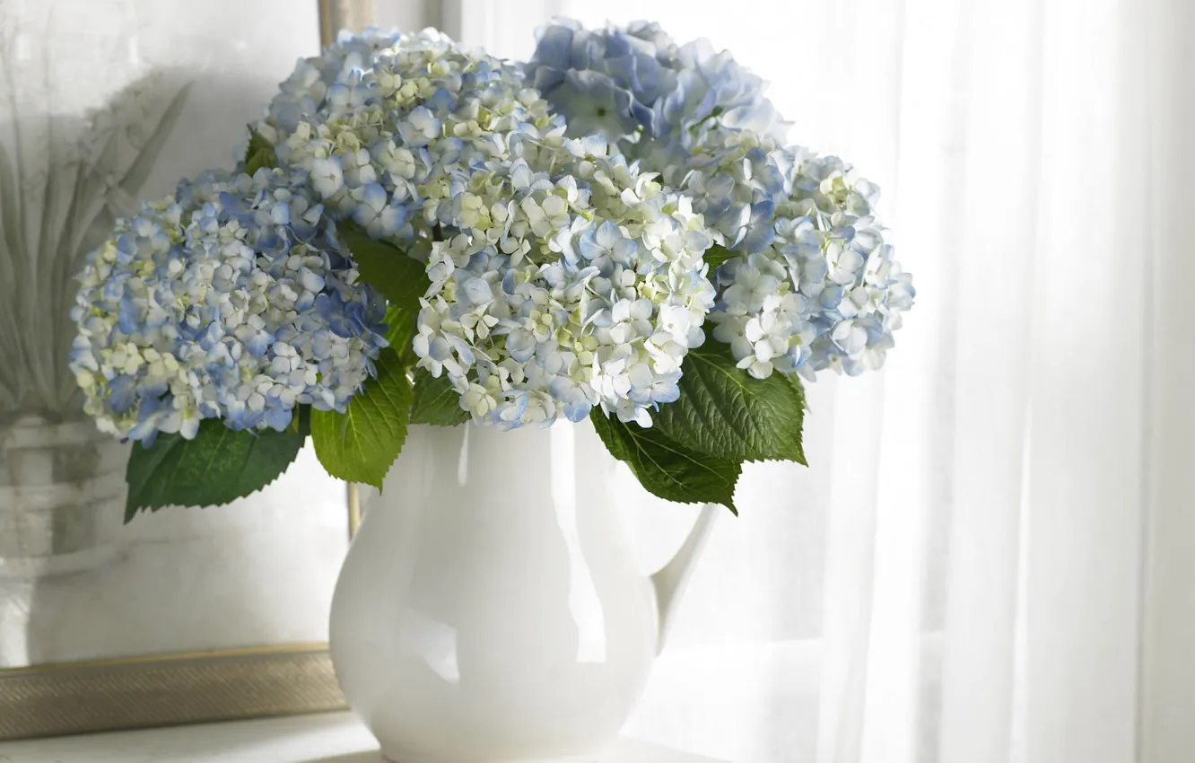Фото обои цветы, чистота, букет, картина, голубые, ваза, белые