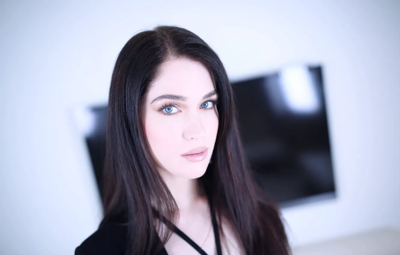 Фото обои взгляд, девушка, модель, брюнетка, красивая, Evelyn Claire, Эвелин Клэр, Kellie Erin Paulsen-Nail