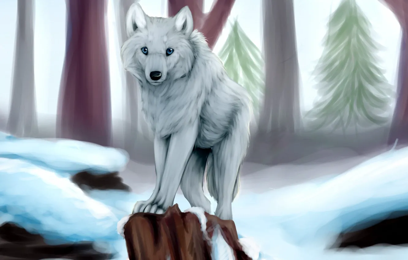 Фото обои зима, белый, снег, деревья, волк, пень, ёлки