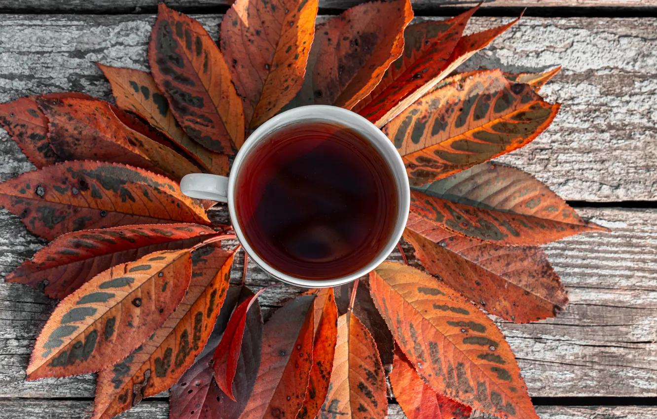 Фото обои фото, Осень, Листья, Доски, Чашка, Еда, Чай