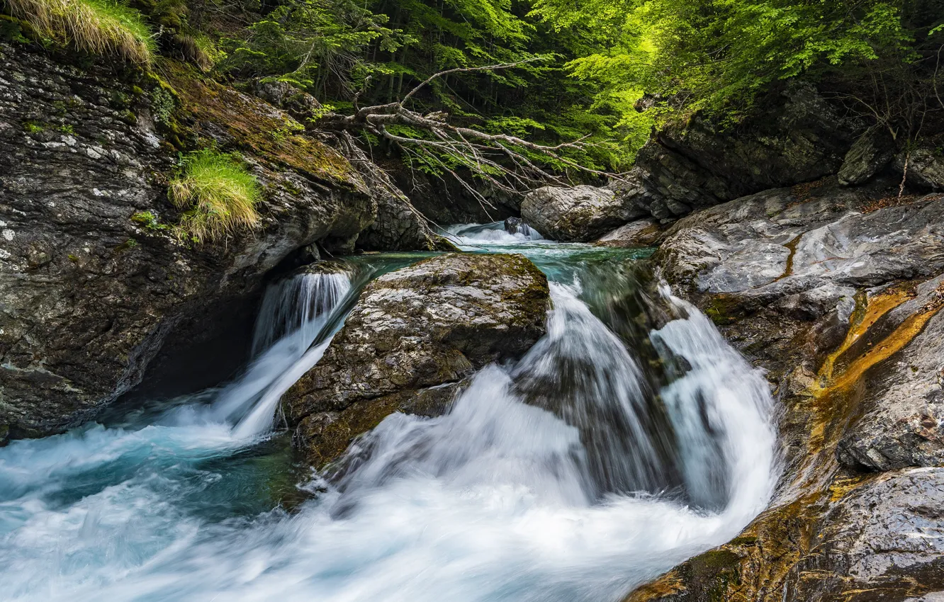 Фото обои лес, ветки, камни, скалы, водопад, поток