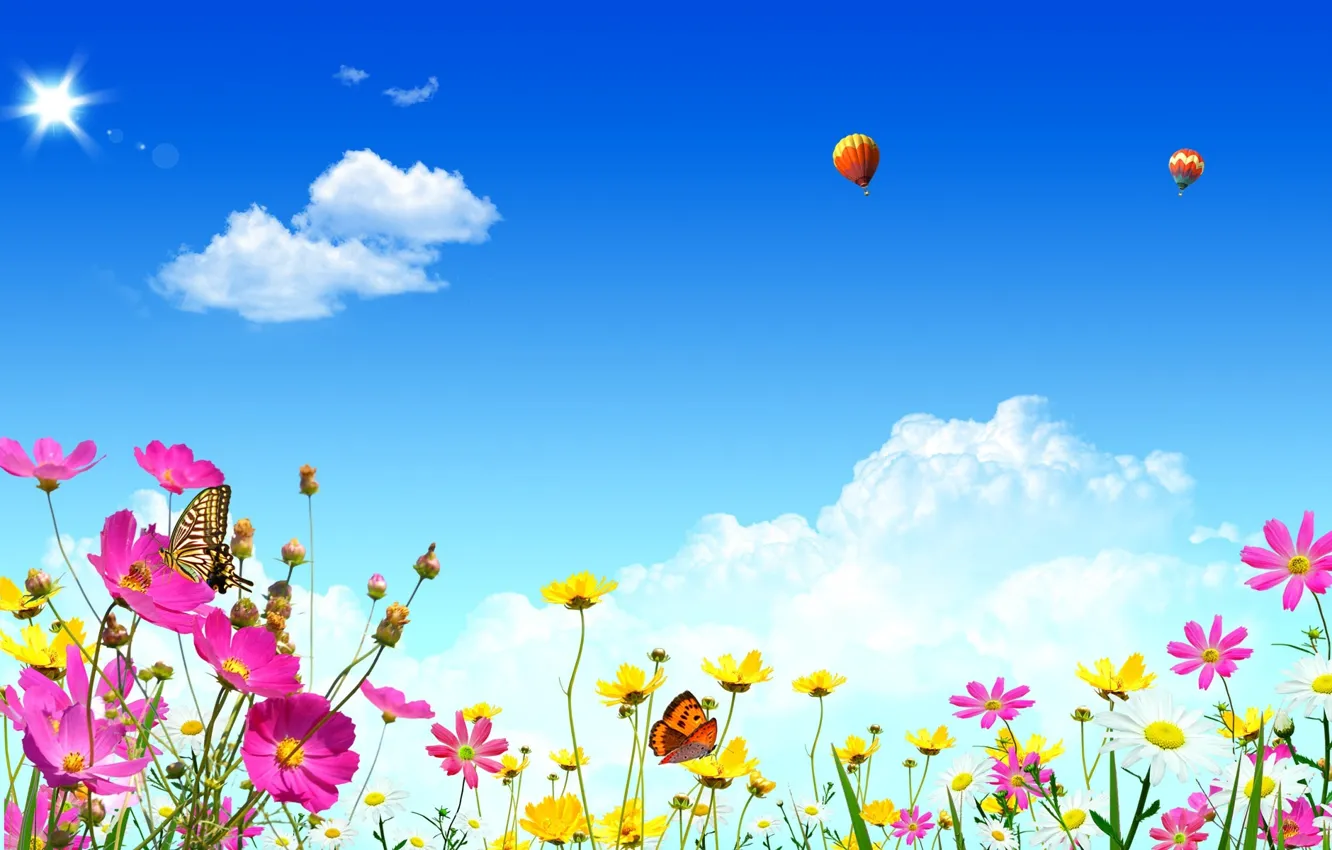 Фото обои лето, небо, облака, свет, цветы, природа, воздушные шары, тепло