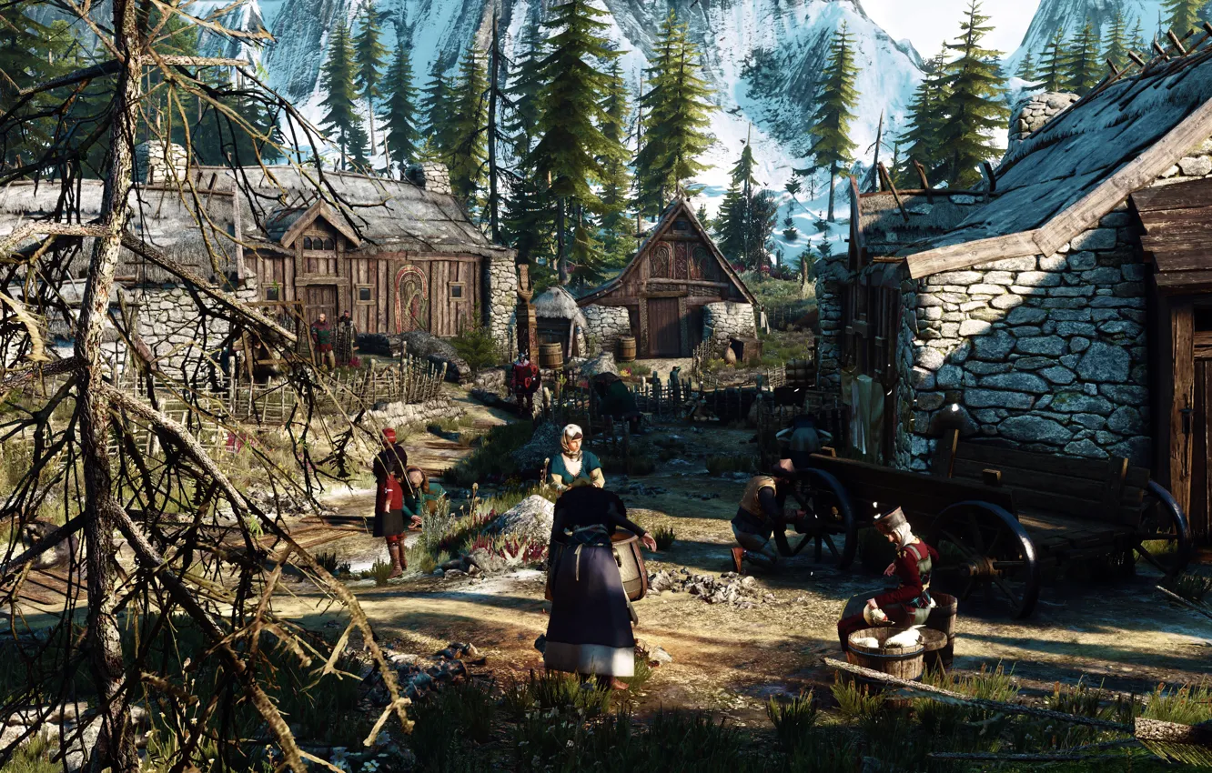 Фото обои деревня, Ведьмак, The Witcher 3, Skellige
