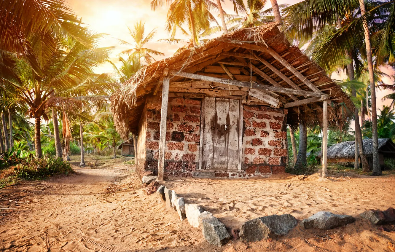 Фото обои песок, дом, пальмы, хижина
