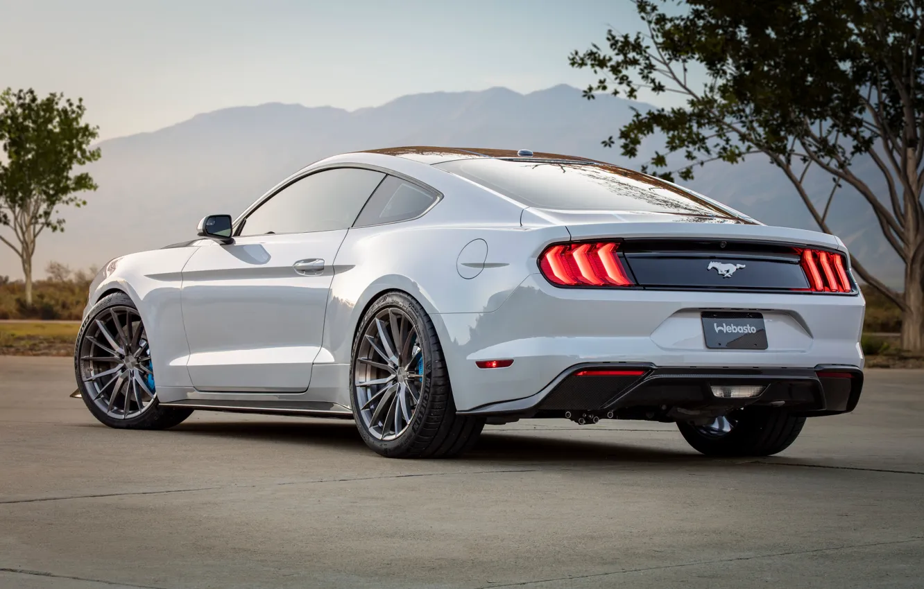 Фото обои Concept, Mustang, Ford, вид сзади, Lithium, 2019, SEMA 2019